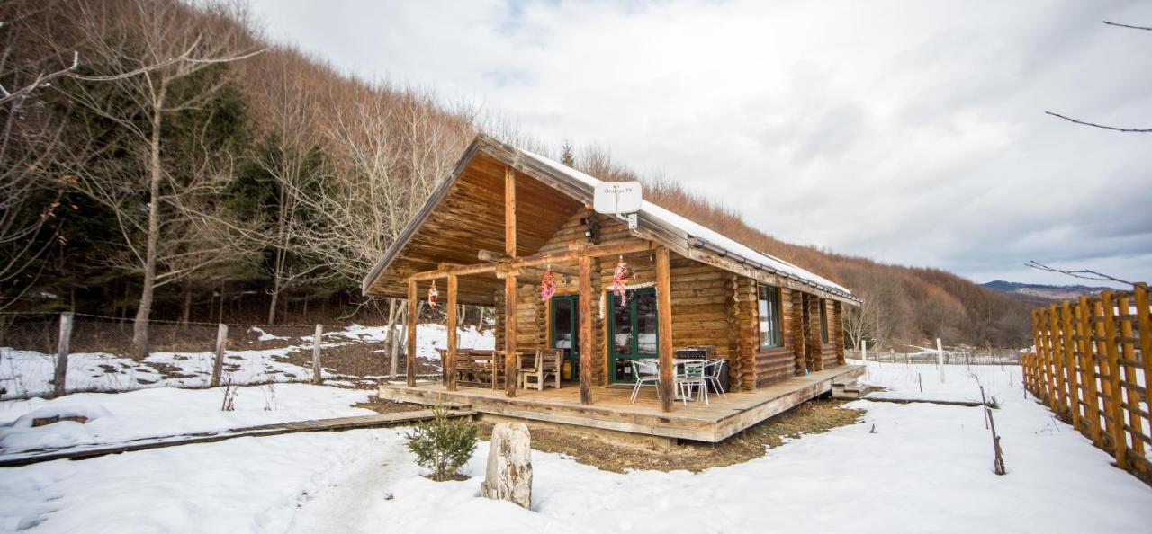 Cabana La Pantiru Valeni-Stinisoara Extérieur photo